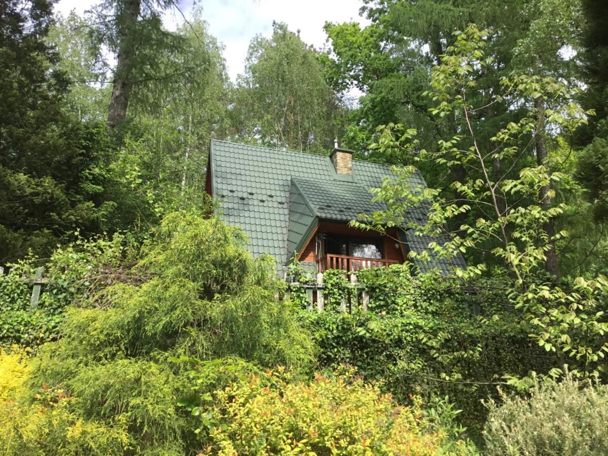 Domek W Lesie Leki  Exterior foto